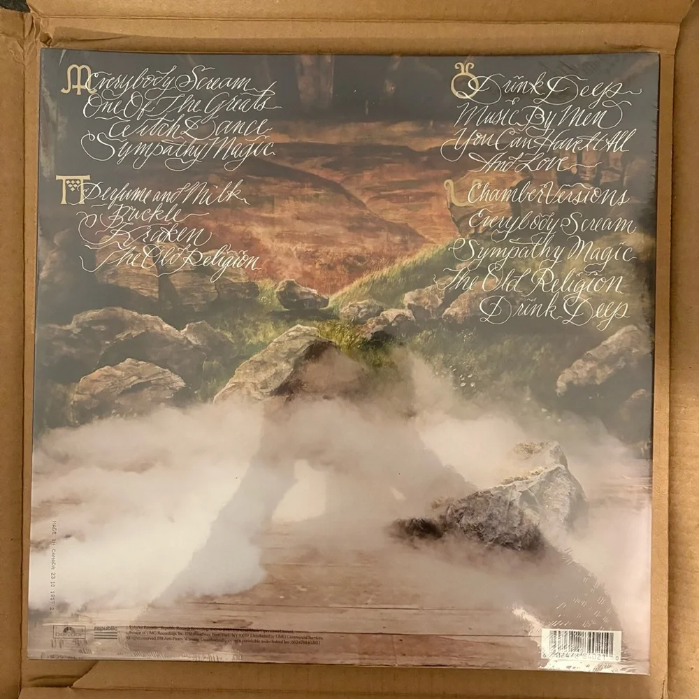 Vinyl Record - Everybody Scream: the Chamber Version - Picture 2 of 2